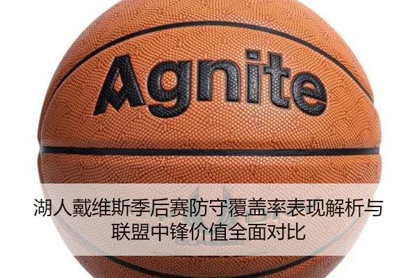 湖人戴维斯季后赛防守覆盖率表现解析与联盟中锋价值全面对比