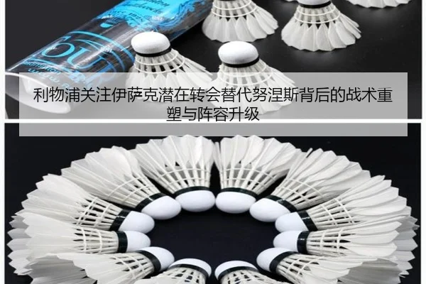 利物浦关注伊萨克潜在转会替代努涅斯背后的战术重塑与阵容升级