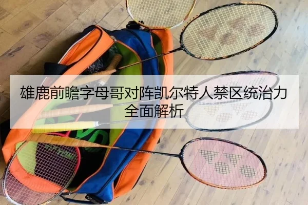 雄鹿前瞻字母哥对阵凯尔特人禁区统治力全面解析